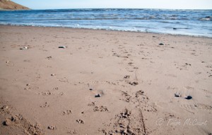 Conrads Beach Nova Scotia